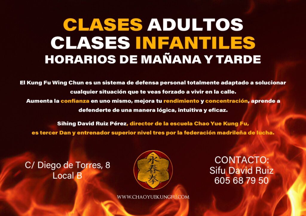 clases de kung fu 